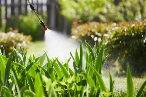 Tamper-Resistant Bait Stations for Rodents in Madison